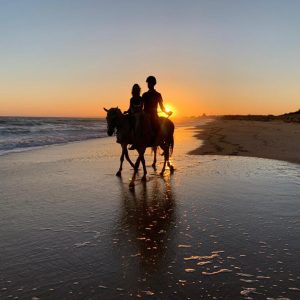 Algarve horse riding coastal experience Quarteira