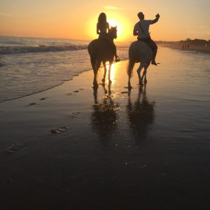 horse riding experience Quarteira Algarve