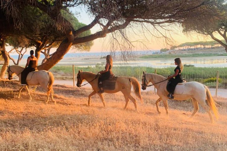 Afternoon horse riding Algarve experience in Quarteira with Lusitano horses near the beach