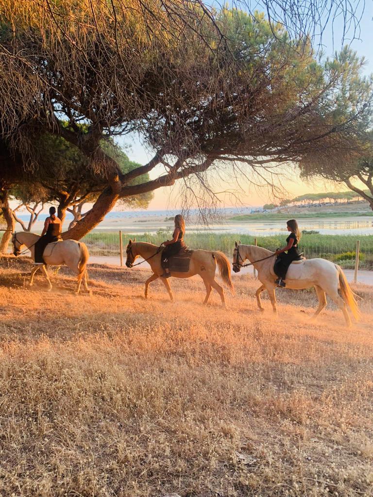 Afternoon Experience